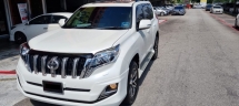 2015 丰田陆地巡洋舰Prado TX 2.8cc (JP SPEC)(自由 1 YWRTY) 地理信息系统 2020