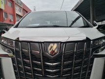 2020 丰田ALPHARD 2.5 TYPE GOLD AGH30 新改款年份制造 2020 完成 35k 公里 仅贷款利率 2.xx (5 年度保修)