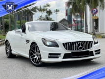 2014 MERCEDES-BENZ SLK SLK200 BLUE EFFICIENCY 1.8 AMG CONVERTIBLE FACELIF