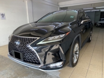 2020 雷克萨斯 RX300 L 版已注册 2023 天窗电源启动 360 