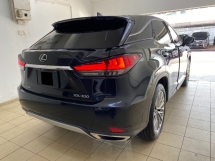 2020 雷克萨斯 RX300 L 版已注册 2023 天窗电源启动 360 