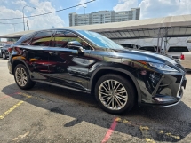 2020 雷克萨斯 RX300 2.0cc 豪华型 (JP SPEC) (自由 4 YWRTY) 地理信息系统 2023