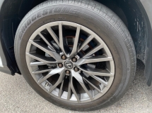 2021 雷克萨斯 RX300 F SPORT 新改款全景车顶 30KM 已完成 