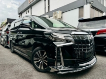 2019 TOYOTA ALPHARD 3.5 SC JBL 360 CAM S/RF DIM BSM MODELISTA UNREG