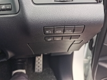 2021 雷克萨斯 RX300 雷克萨斯 RX300 2.0cc F-SPORT  (一个) REG 2022