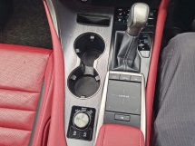2021 雷克萨斯 RX300 雷克萨斯 RX300 2.0cc F-SPORT  (一个) REG 2022