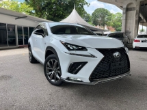 2020 LEXUS NX300 2.0 F SPORT Facelift UNREG Grade 4.5 360 Camera