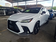 2021 LEXUS NX350 2.4 F SPORT NEW MODEL PANORAMIC ROOF 360 CAM HUD PCR LDA BSM DIM RCTA CBU JAPAN GRADE 6A INC SST 