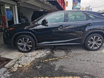 2019 雷克萨斯 RX300 VL (一个) CBU