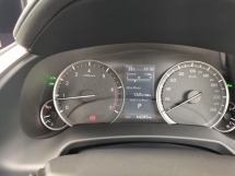 2019 雷克萨斯 RX300 VL (一个) CBU