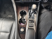 2019 雷克萨斯 RX300 VL (一个) CBU