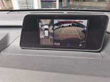 2019 雷克萨斯 RX300 VL (一个) CBU