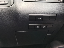 2019 雷克萨斯 RX300 VL (一个) CBU