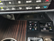 2019 雷克萨斯 RX300 VL (一个) CBU