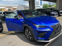 2019 LEXUS NX300 Unreg Lexus NX300T 2.0 Turbo Panaromic Roof F Sport Power Boot Camera Paddle Shift 6Speed 