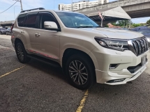 2019 丰田陆地巡洋舰 2.8 普拉多TX (一个) REG 2024