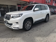 2019 丰田陆地巡洋舰 2.8 普拉多TX (一个) REG 2024