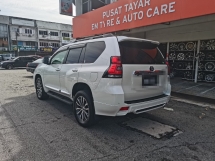 2019 丰田陆地巡洋舰 2.8 普拉多TX (一个) REG 2024