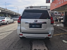 2019 丰田陆地巡洋舰 2.8 普拉多TX (一个) REG 2024
