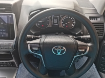 2019 丰田陆地巡洋舰 2.8 普拉多TX (一个) REG 2024