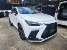 2021 LEXUS NX350 F Sport 2.4 Turbo 275hp (Grade 4.5) Full Spec Panoramic Roof Original 360 Camera HUD BSM PCS Unreg