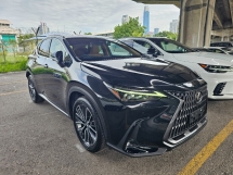 2023 LEXUS NX 250 2.5 Luxury Spec Panoramic roof 4 LED Grade 5A DIM BSM 360 Camera Power Boot HUD Unregistered 