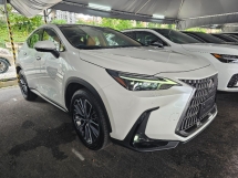 2023 LEXUS NX 250 2.5 Luxury Spec Panoramic roof 4 LED Grade 5A BSM 360 Camera Power Boot HUD Unregistered 