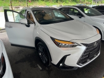 2023 LEXUS NX 250 2.5 Luxury SUV Grade *5A 13K-Km 360 Cam Unreg