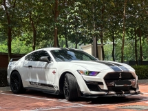 2017 FORD MUSTANG 2.3 ECOBOOST SHELBY BODYKIT FULL CAR PPF