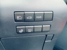 2021 雷克萨斯 RX300 F 运动版全新改款全景车顶 BSM HUD 5A 汽车