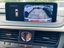 2021 雷克萨斯 RX300 F 运动版全新改款全景车顶 BSM HUD 5A 汽车