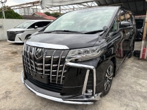 2021 丰田ALPHARD 2.5 SC 天窗 Modelista 套件 飞行员座椅 DIM BSM
