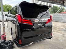 2021 丰田ALPHARD 2.5 SC 天窗 Modelista 套件 飞行员座椅 DIM BSM