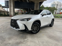 2022 LEXUS NX250 2.5 Base Version L Luxury URNEG Grade 5A 13k km 