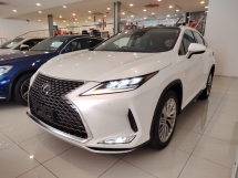 2020 LEXUS RX300 VERSION L 2.0 FULL SPEC CNY SUPER OFFER UNREG 2020