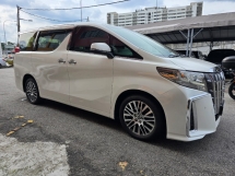 2016 丰田ALPHARD 3.5 模型 (自由 2 YWRTY) 地理信息系统 2016
