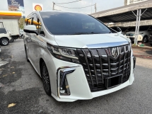2017 丰田ALPHARD 2.5 SC Faceelift Reg 2020 飞行员座椅 360 相机 