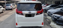 2017 丰田 ALPHARD 2.5cc SC 模型 (自由 2 YWRTY) 地理信息系统 2020