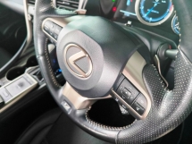 2020 雷克萨斯RX 300 F Sport BSM 360CAM天窗