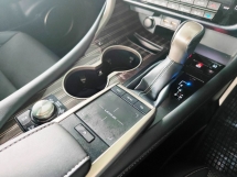 2020 雷克萨斯RX 300 F Sport BSM 360CAM天窗
