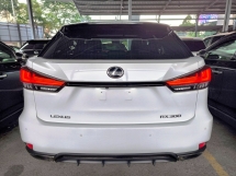 2020 雷克萨斯RX 300 F Sport BSM 360CAM天窗
