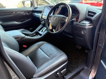 2018 TOYOTA VELLFIRE 2.4 Z G Facelift Reg 2020 天窗模型套件