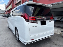 2015 TOYOTA ALPHARD 2.5 (A) Facelift Modelista Kit Leather Seat Camera