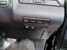 2020 LEXUS RX 300 2.0 F SPORT SUNROOF 360CAM RED-Leather