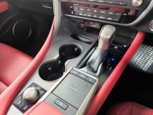2020 LEXUS RX 300 2.0 F SPORT SUNROOF 360CAM RED-Leather