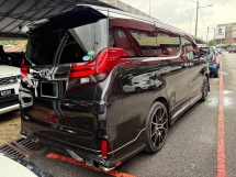 2015 丰田ALPHARD 2.5 注册 2018 改款飞行员座椅免费保修