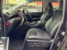 2015 丰田ALPHARD 2.5 注册 2018 改款飞行员座椅免费保修