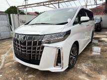 2021 丰田ALPHARD 2.5 SC 3LED 天窗电源启动免费 5 YRS保修