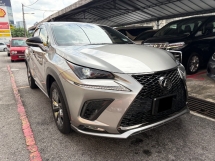 2019 LEXUS NX300 2.0 F Sport CBU Jepun Spec Reg 2024 Kereta Gred 5A 