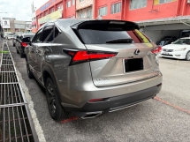 2019 LEXUS NX300 2.0 F SPORT CBU Japan Spec REG 2024 Grade 5A Car 